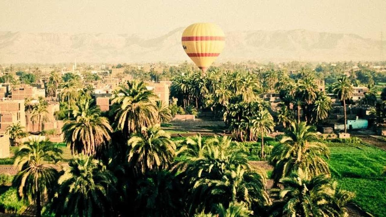 Backdrop for Pink Paradise