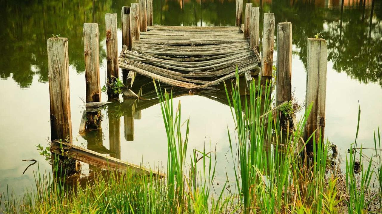 Achtergrond voor Hot Pink & Chocolate Brown