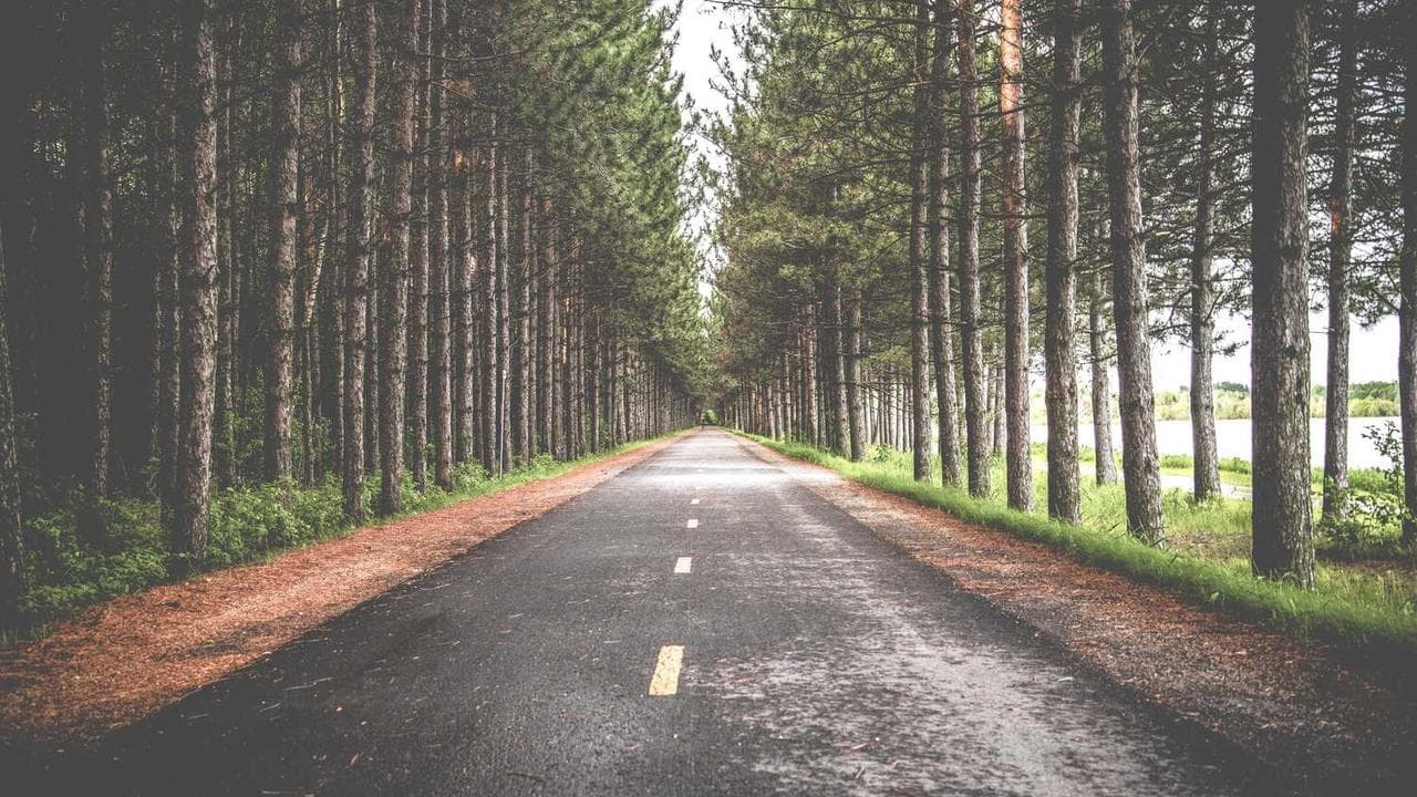 Backdrop for آلفا