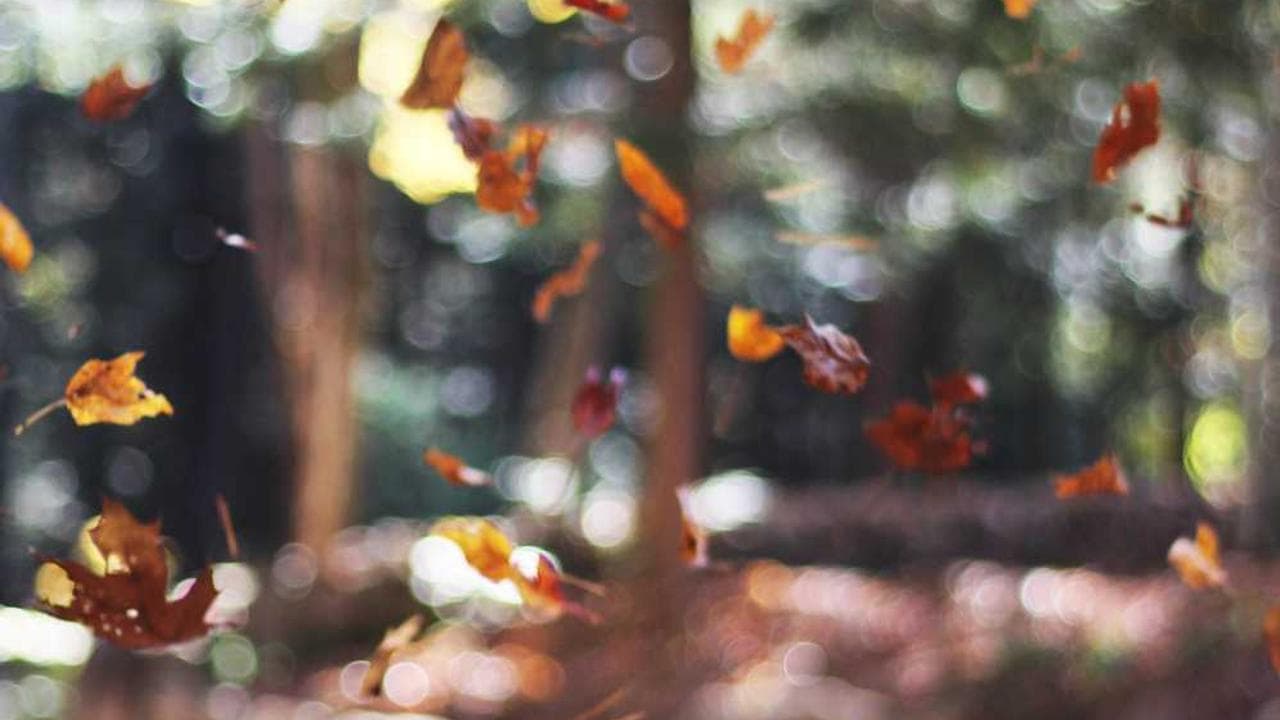 Achtergrond voor The Monster Man