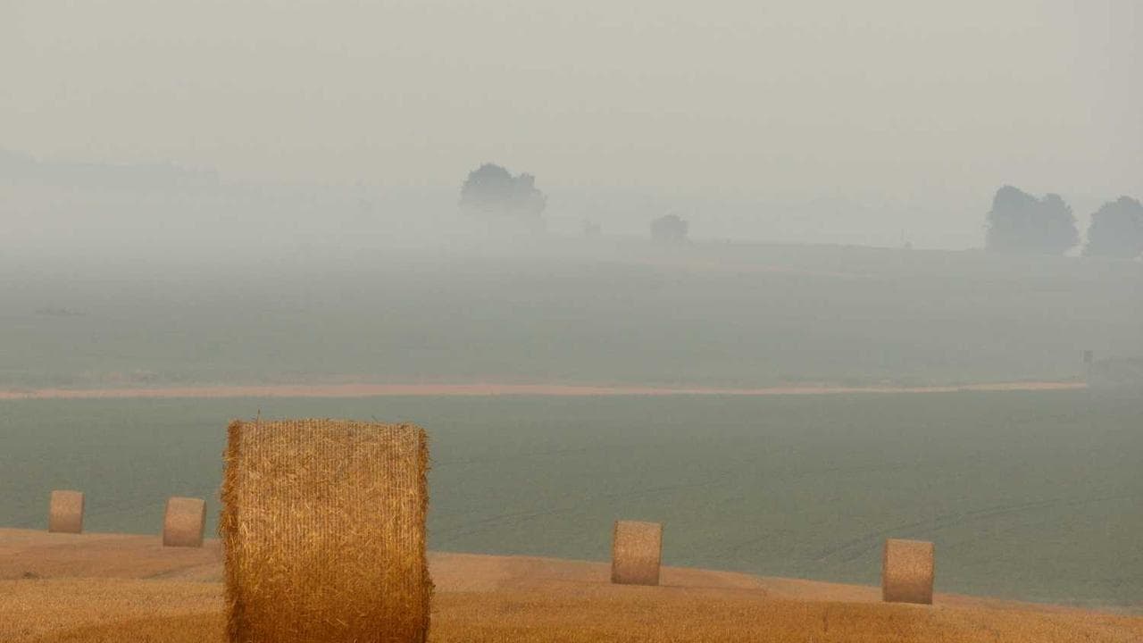 Backdrop for 真真假假