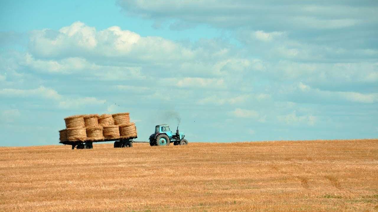Backdrop for Cart Return