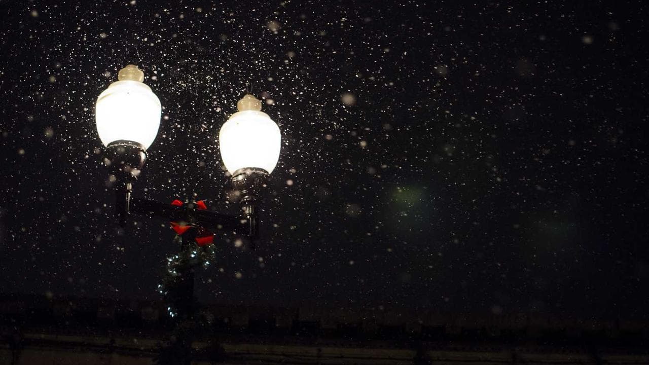 Backdrop for Ночь на кордоне