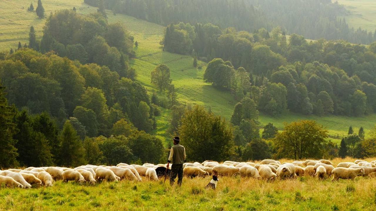 Backdrop for Ključ