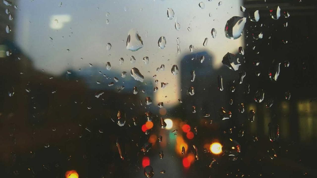 Backdrop for 梧桐雨