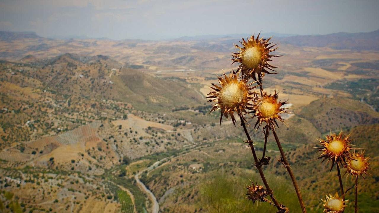 Backdrop for المتهمة