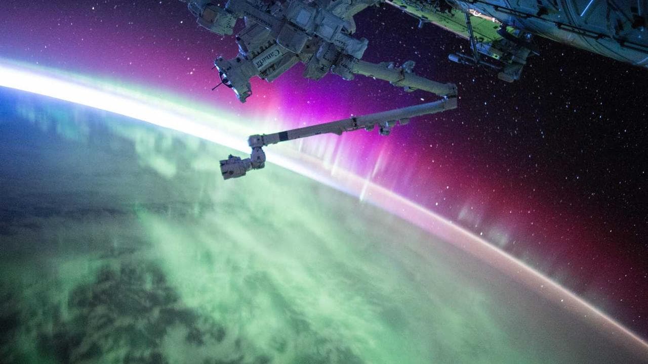 Backdrop for Cycles