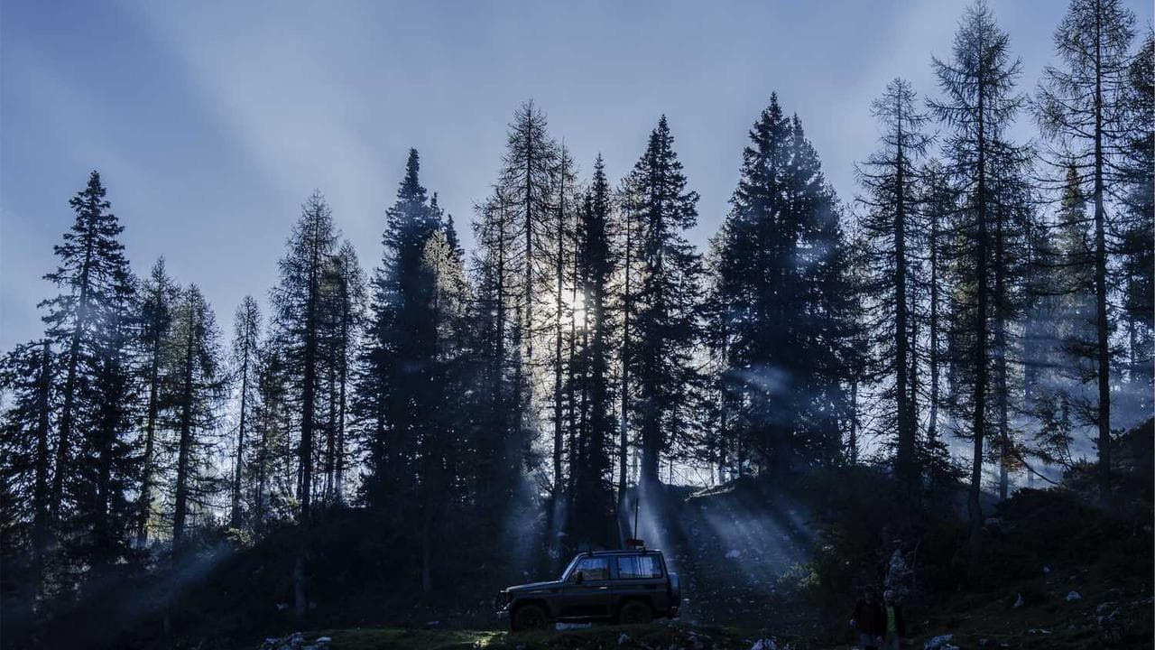 Backdrop for A Good Scout