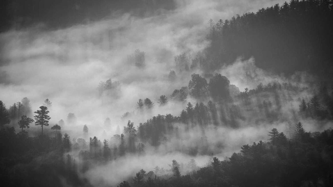 Achtergrond voor Maček med vrati
