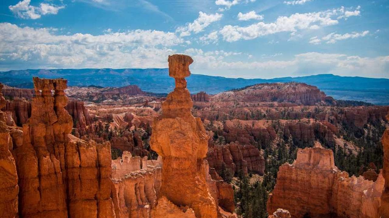 Backdrop for Heaven's Anal Gateway