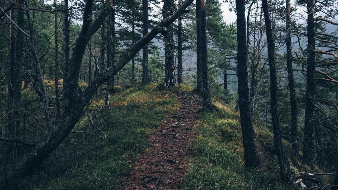 Achtergrond voor فجر