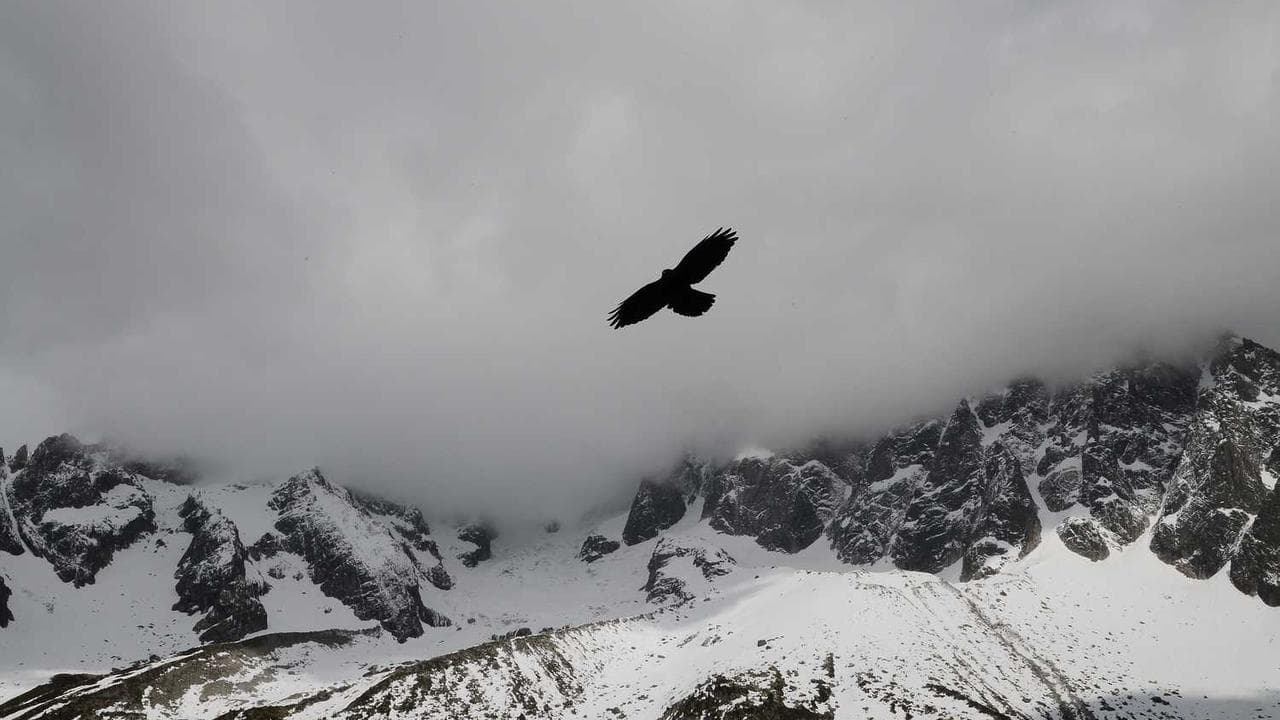 Backdrop for Hai Jawani Toh Ishq Hona Hai