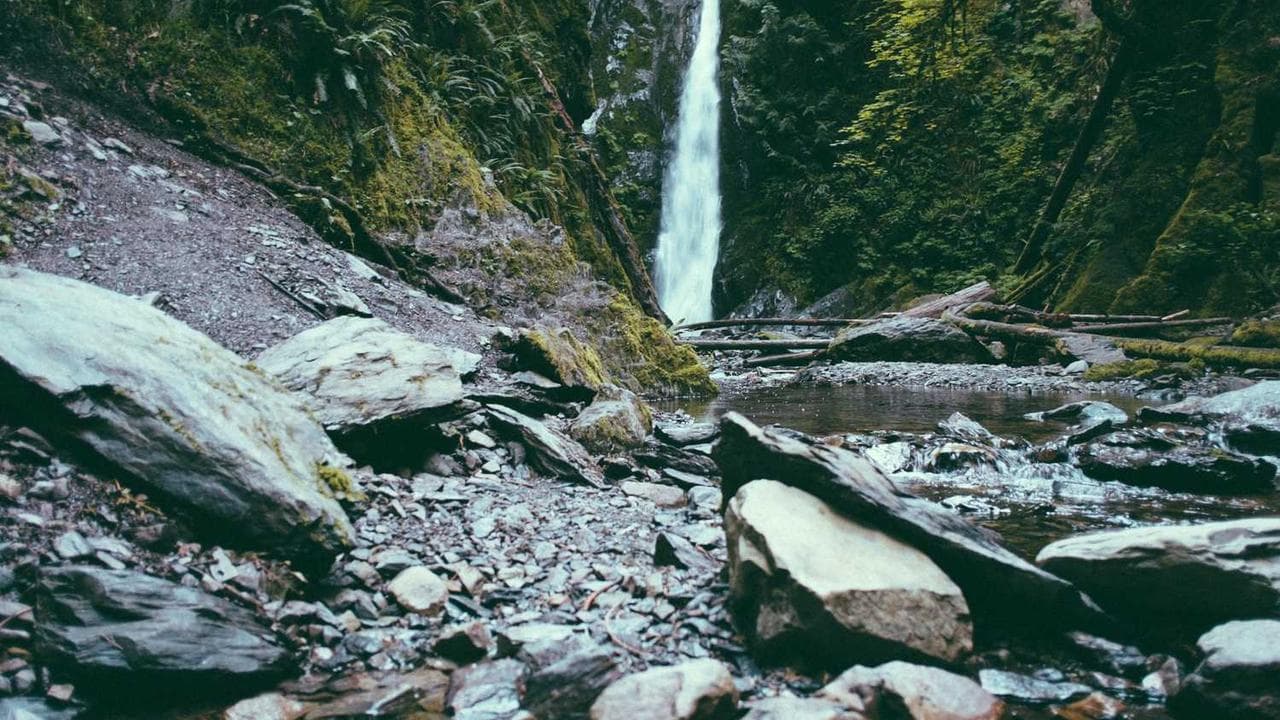 Achtergrond voor Pipi-Kur