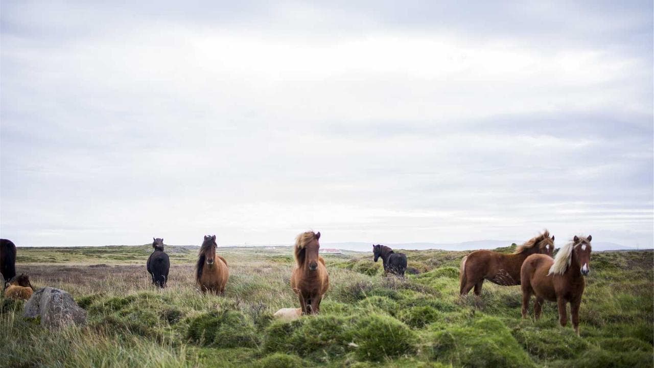 Achtergrond voor A Life in the Balance