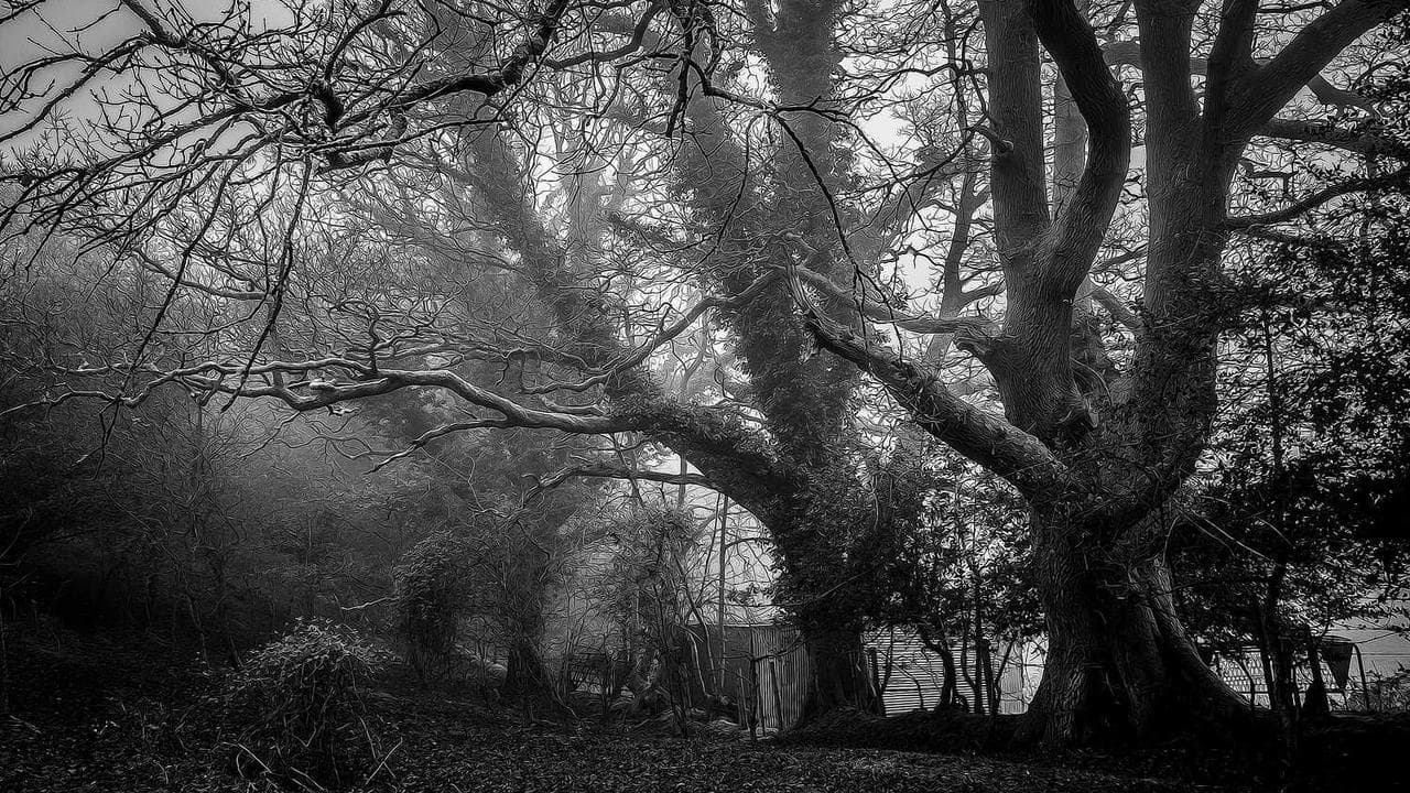 Achtergrond voor Manas ādas nolobīšanās