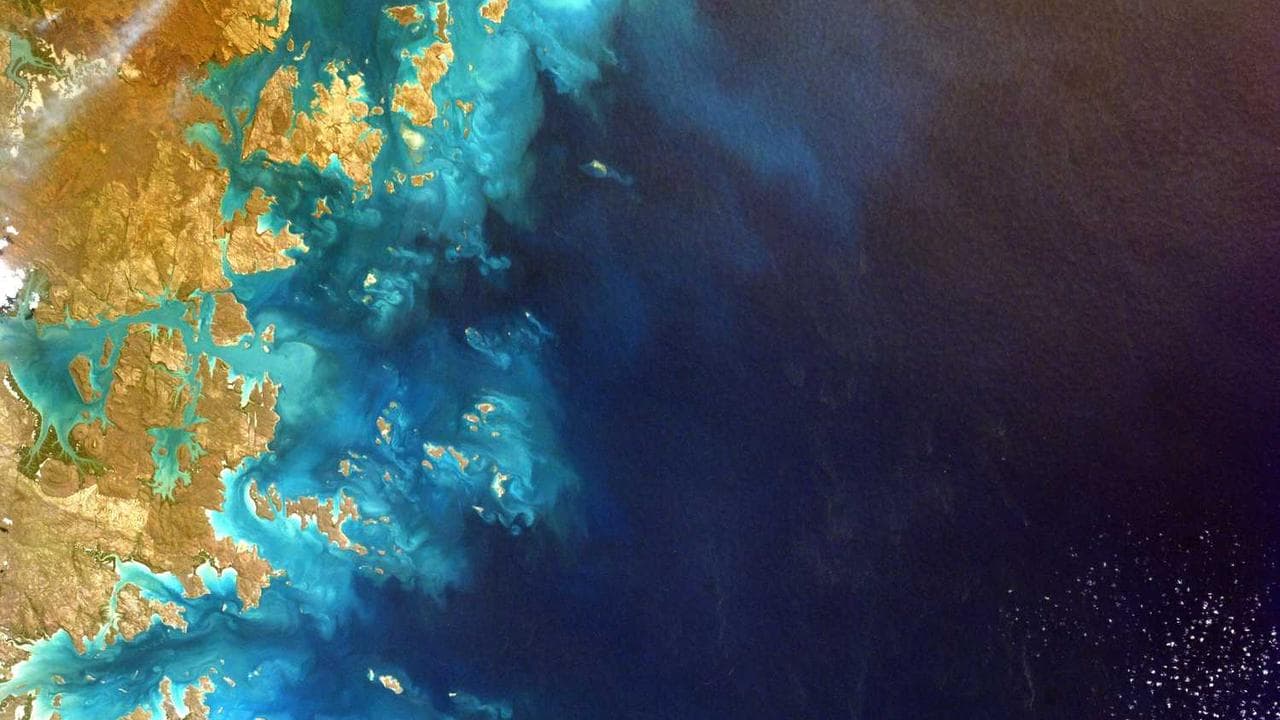 Backdrop for Zodiac