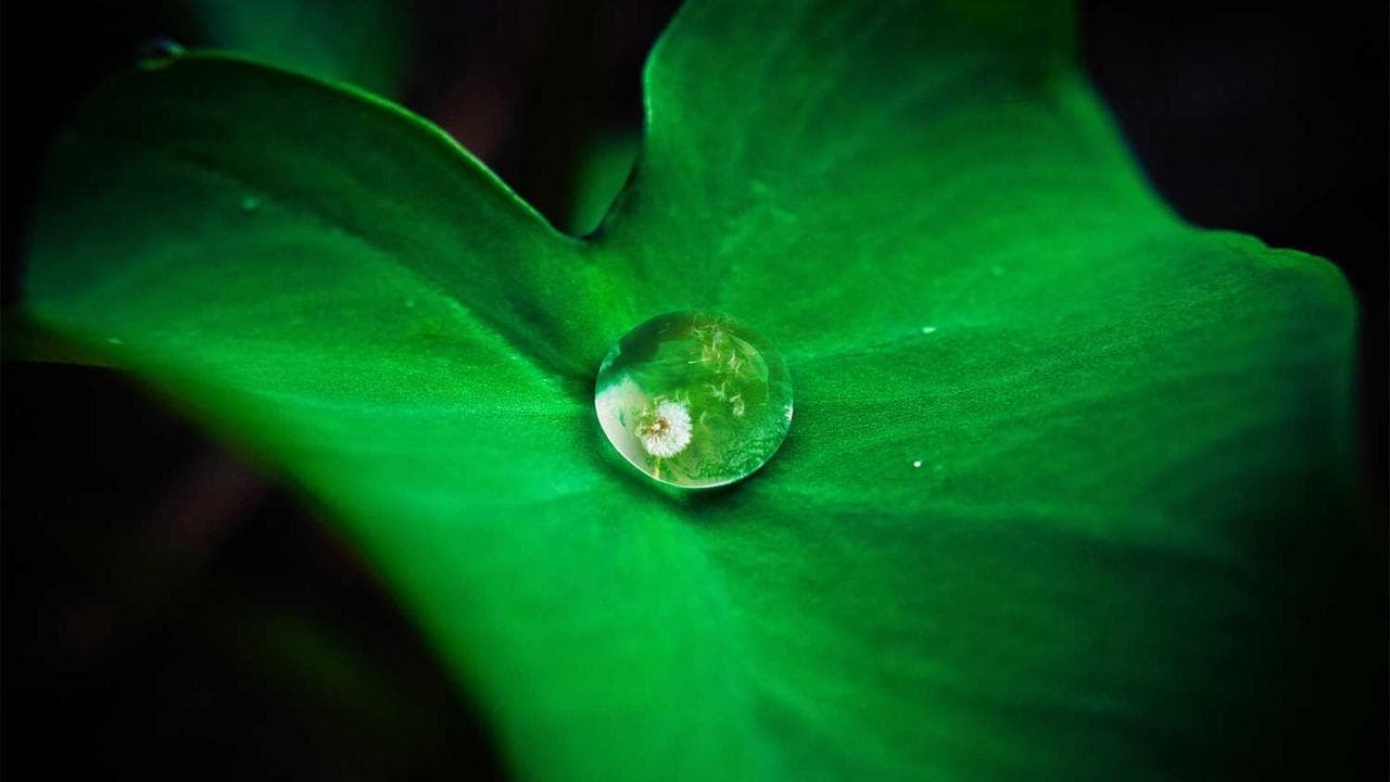 Achtergrond voor 蒼いくちづけ －ドラキュラ伯爵の恋－