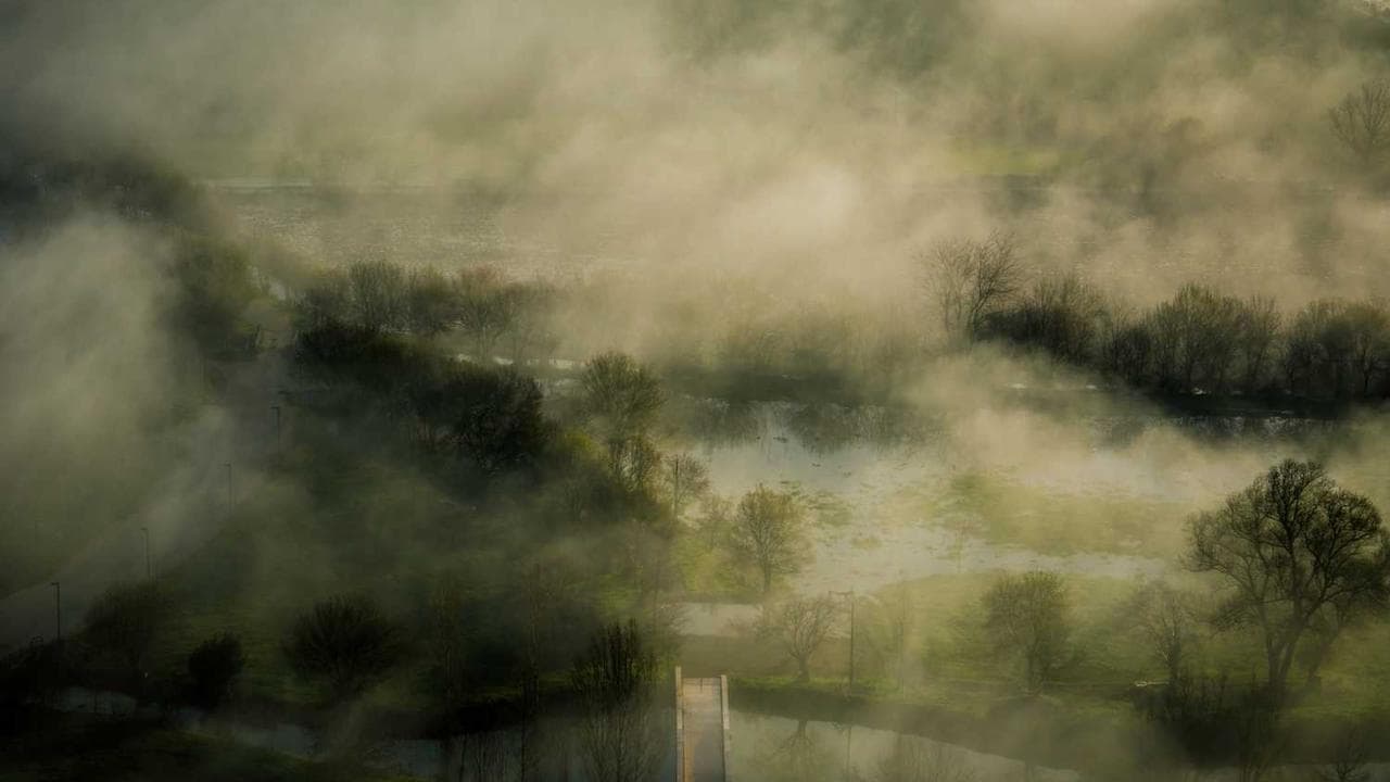 Backdrop for By The Window