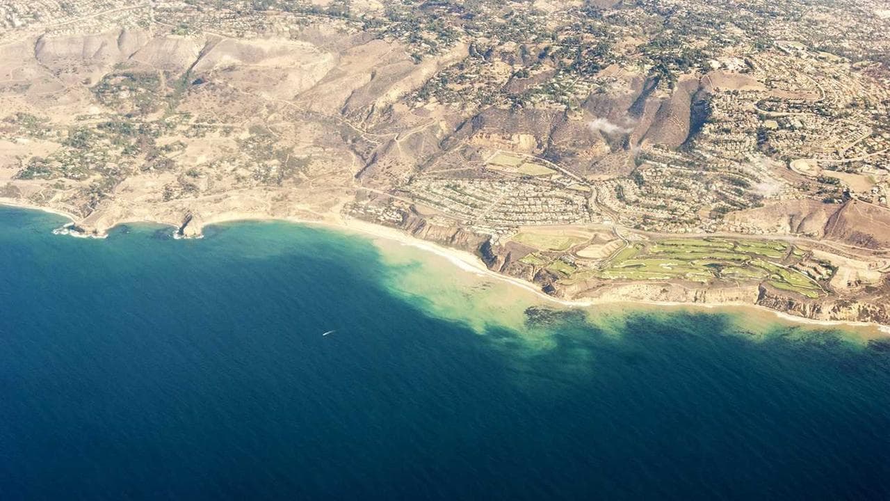 Achtergrond voor Ass Parade 75