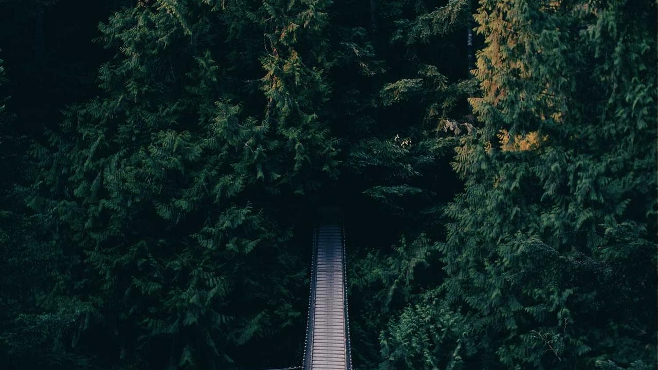 Backdrop for Katarakt