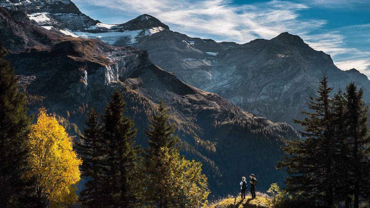 Backdrop for რწყილი და ჭიანჭველა
