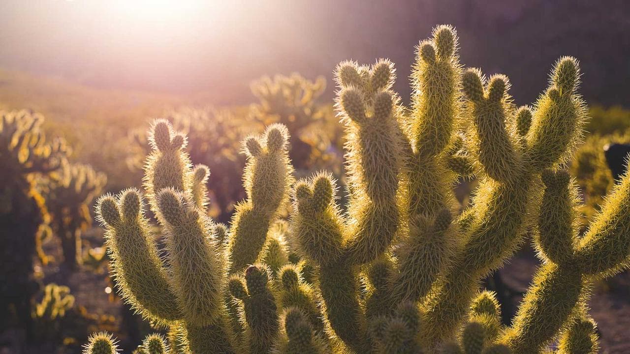 Achtergrond voor JUFE-542 かなって幸せそうでムカつくから,旦那の前で輪姦してよ！(胸糞映像！媚薬ガンギマリ失禁絶頂中出し墜ち)。森沢 かな