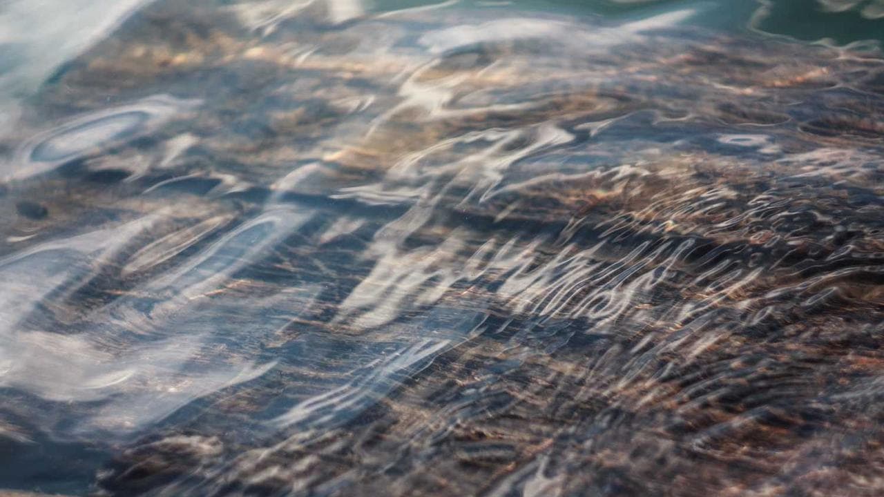 Backdrop for پرستوها به لانه برمی‌گردند