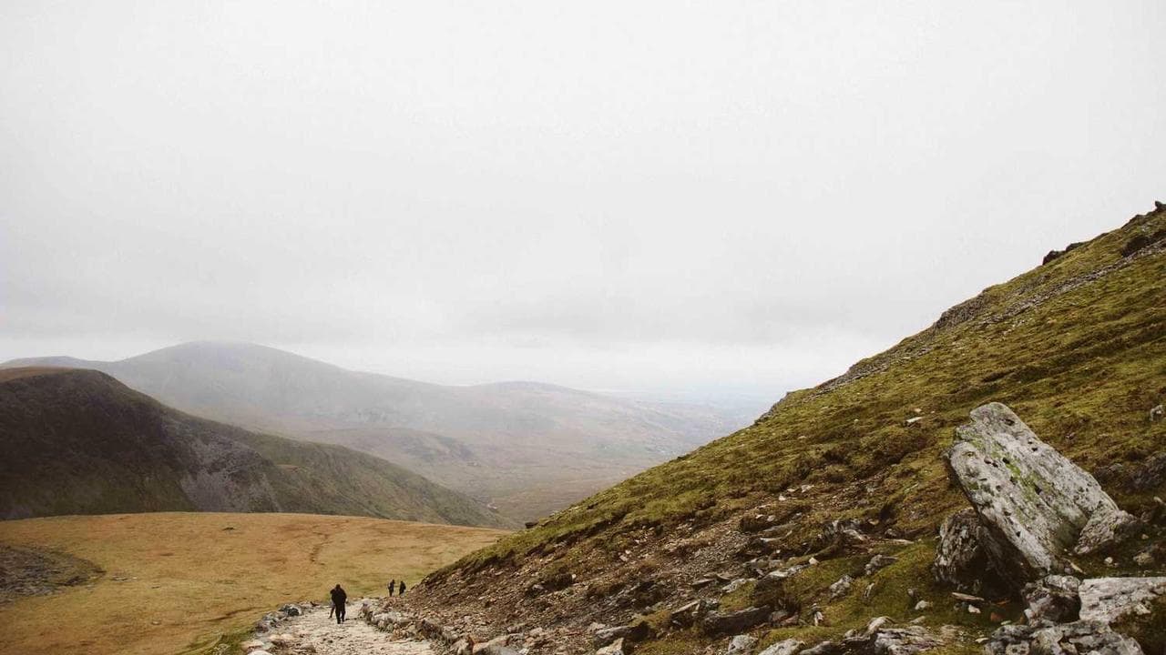 Backdrop for Into the Wild: The Making of The Face of Evil