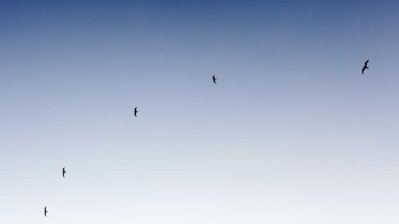 Backdrop for In Wahrheit: Für immer dein