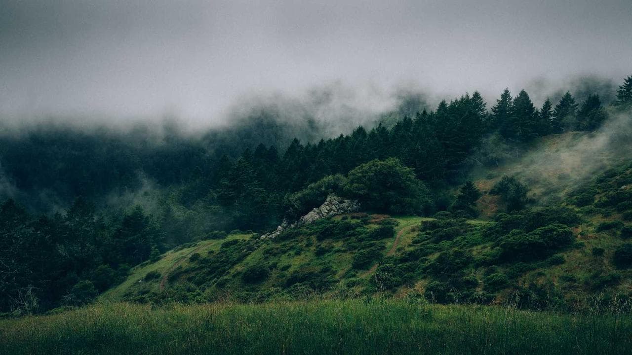 Backdrop for 투명한 그녀 두 번째 이야기