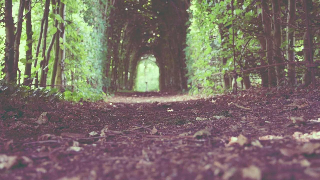 Achtergrond voor A Day's Work