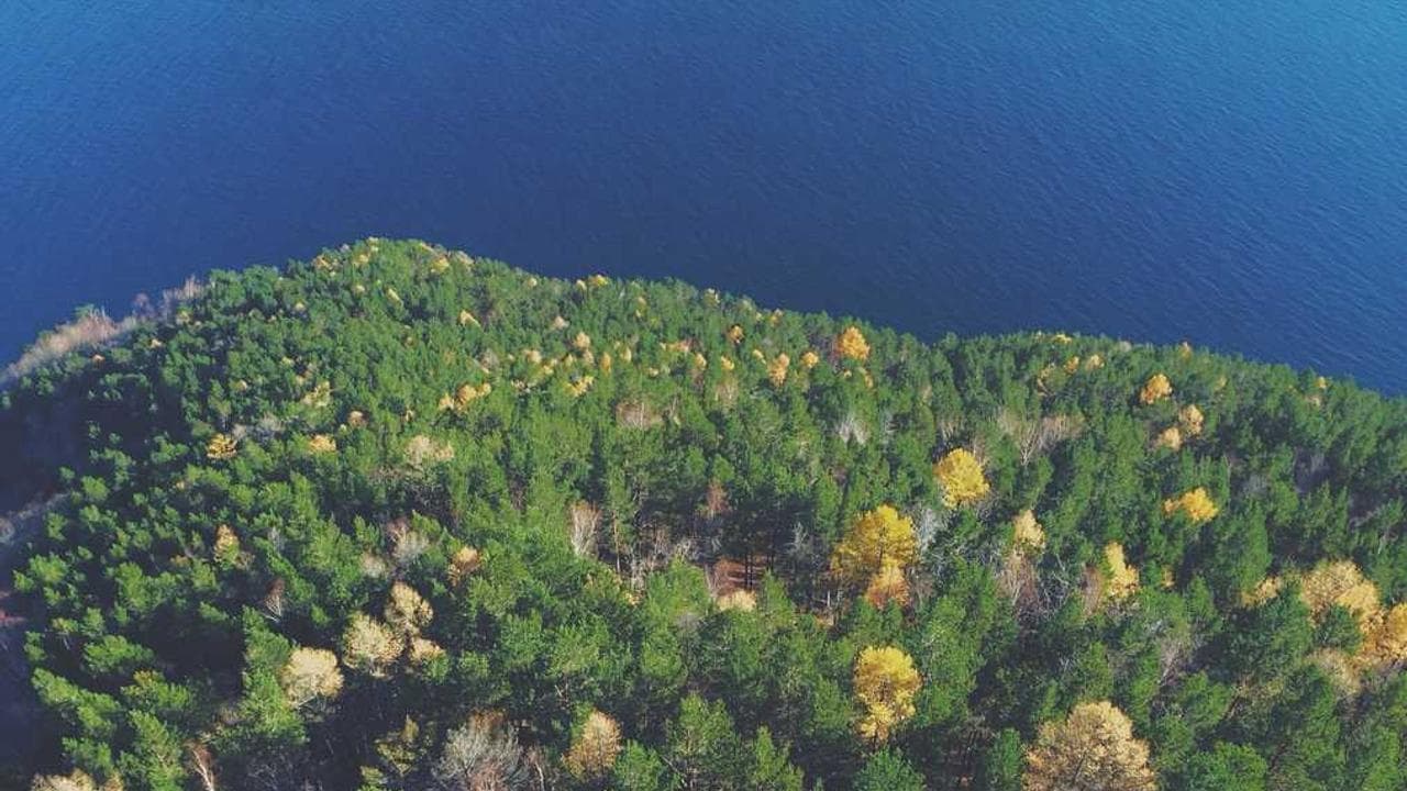 Backdrop for Swamp Thing
