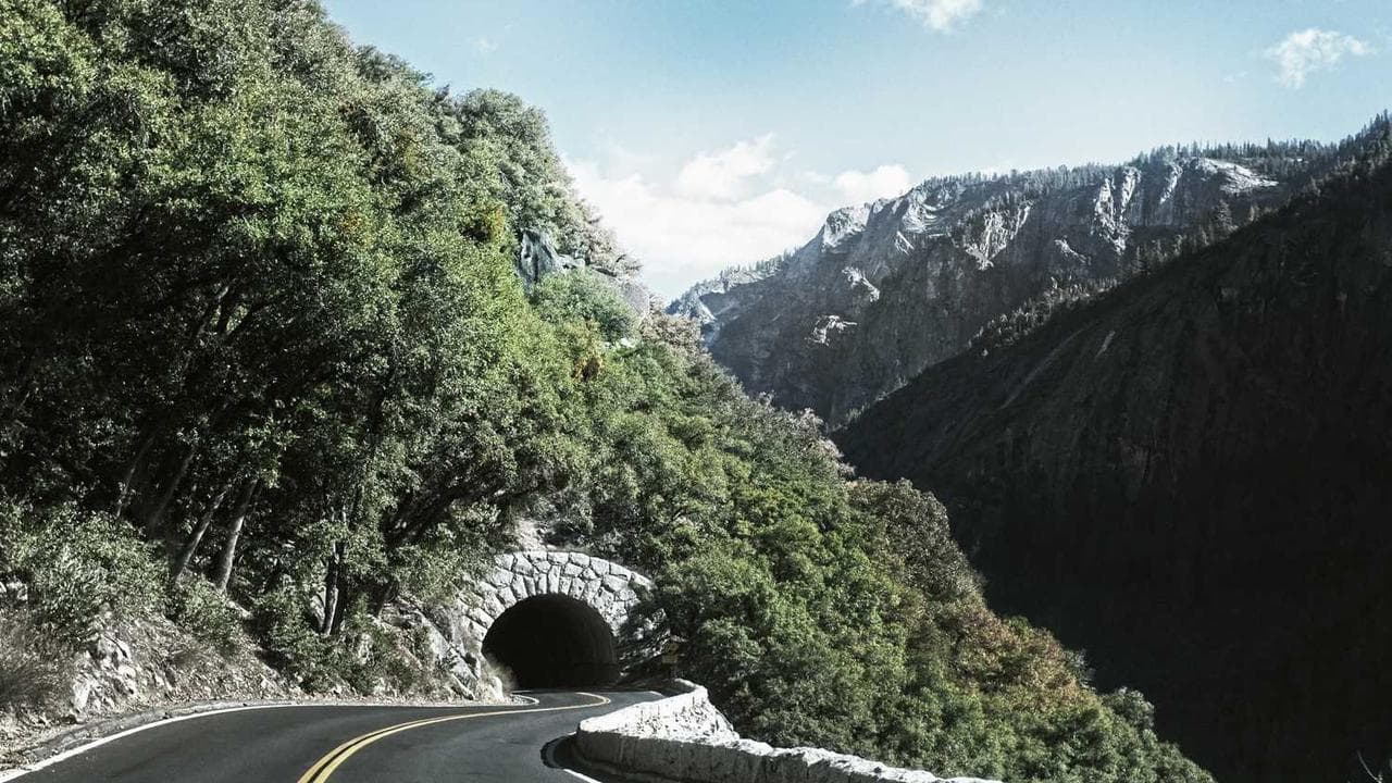 Achtergrond voor What's Up Your Ass? 2