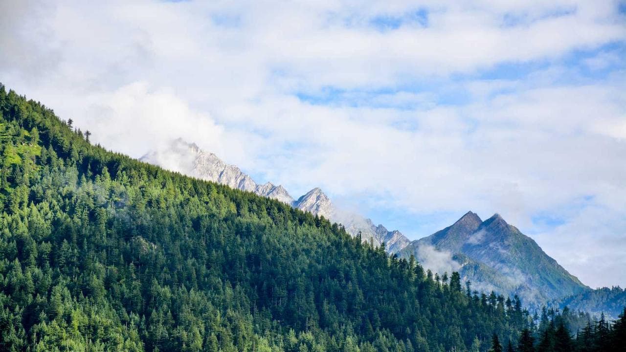 Backdrop for La Velada del Año V