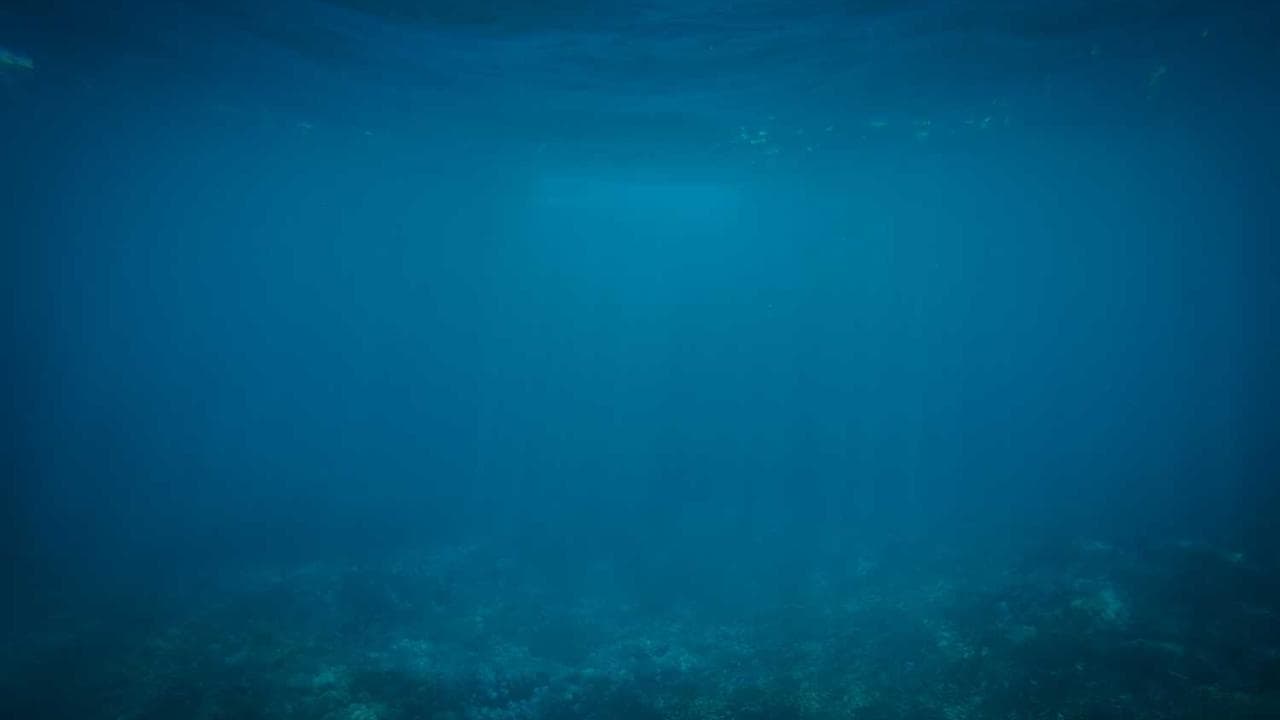 Achtergrond voor Бојата на мракот