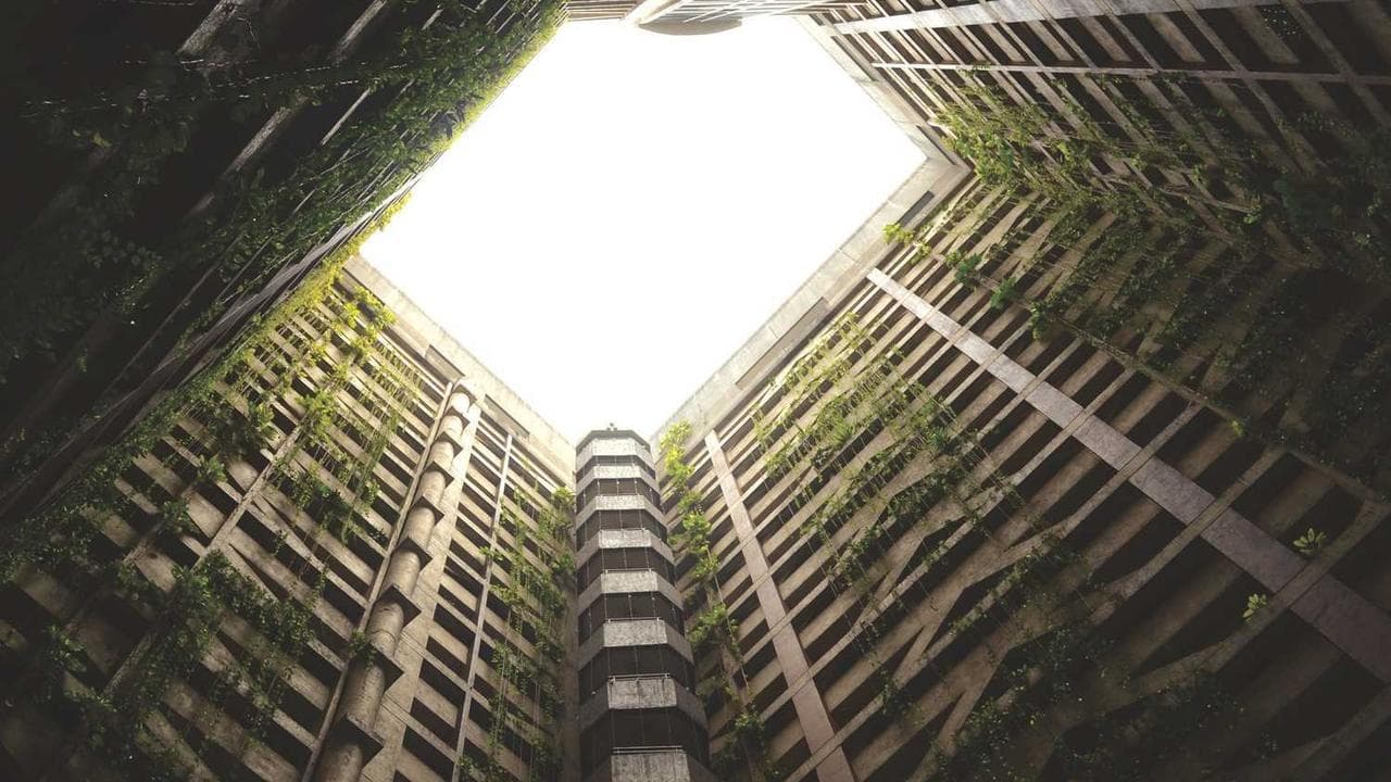 Backdrop for 失われた楽園 ~ ハリウッド・バビロン ~