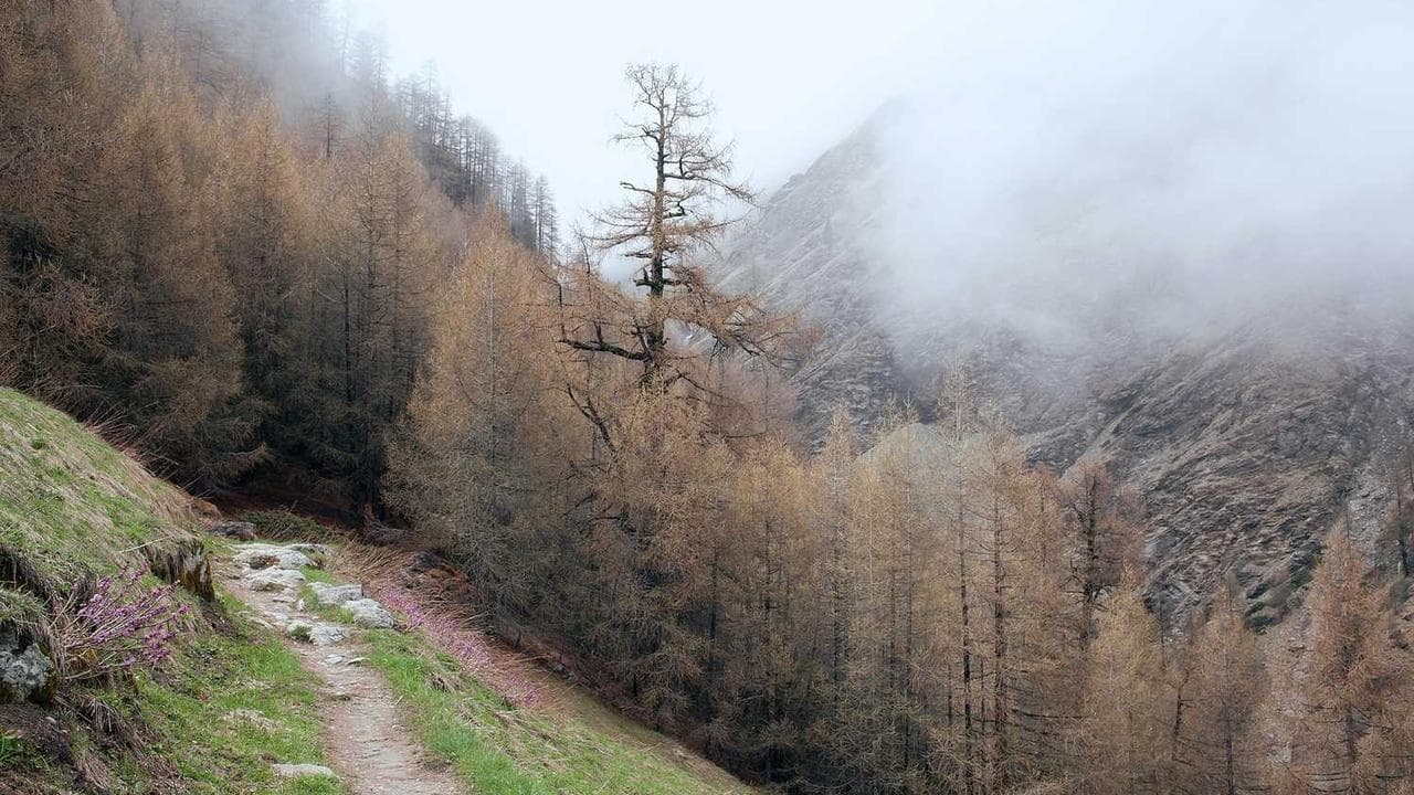 Backdrop for Läckan