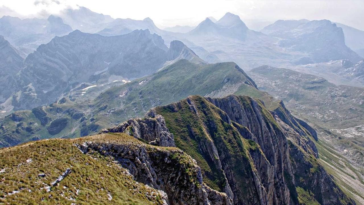 Backdrop for Vivre au paradis