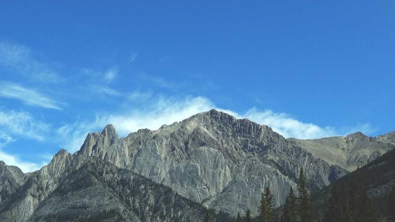 Backdrop for Sola contigo