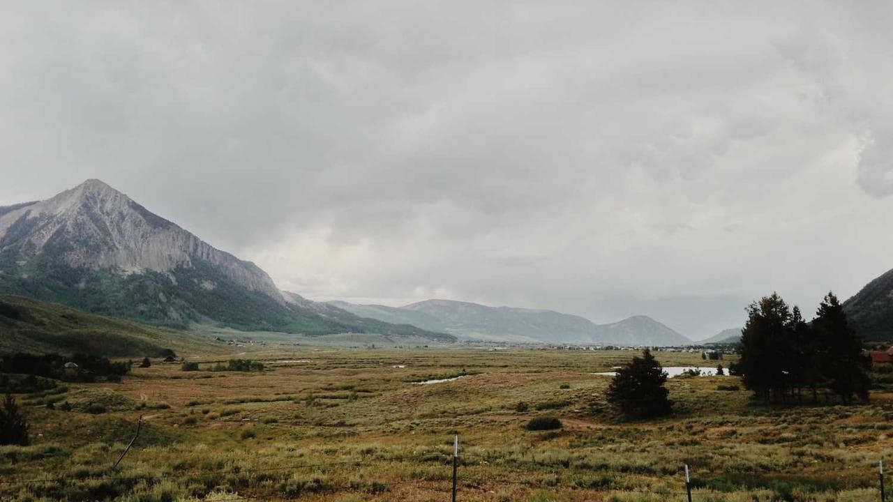 Backdrop for La Terre