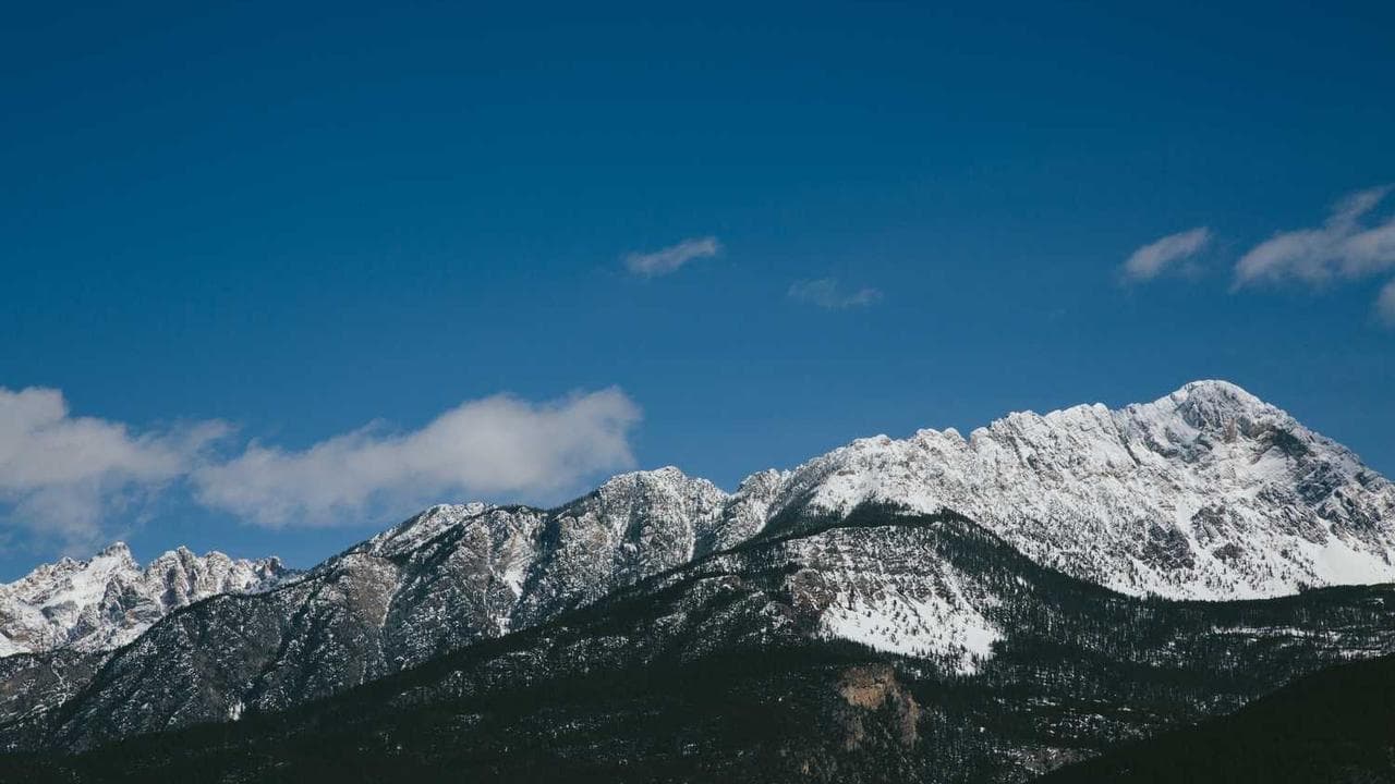 Backdrop for Portable Life