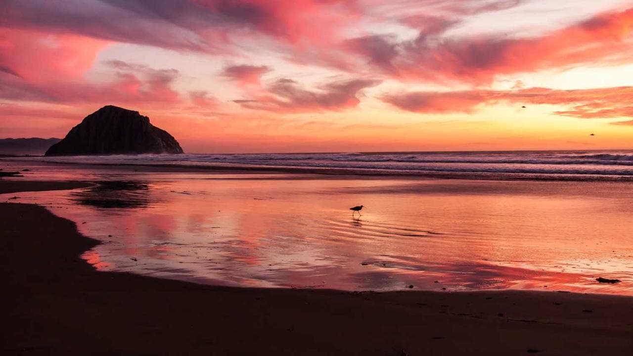 Backdrop for Bill Wyman's Blues Odyssey