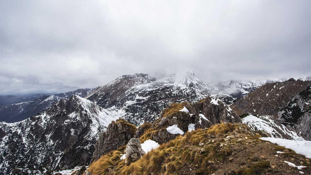 Backdrop for Mrs. Harris fährt nach Monte Carlo
