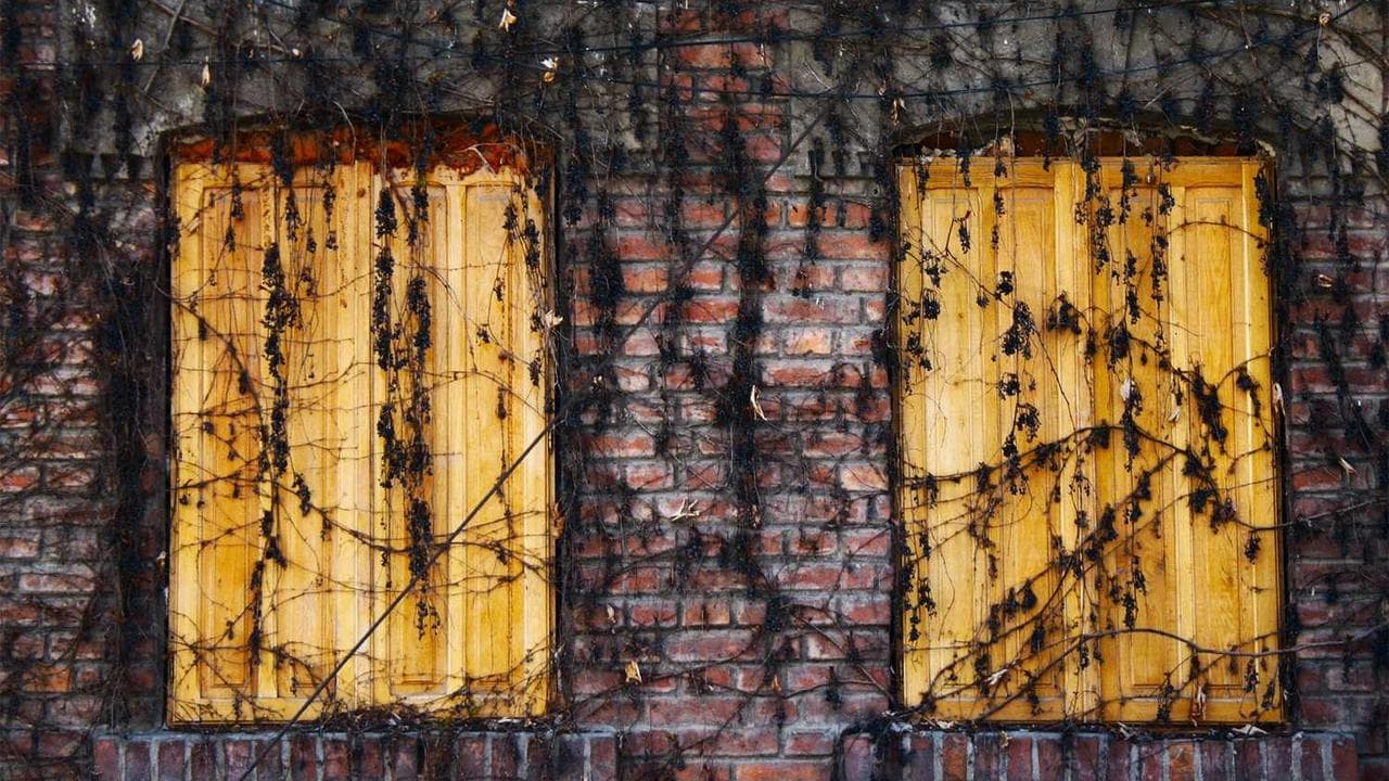 Backdrop for P.O.W.