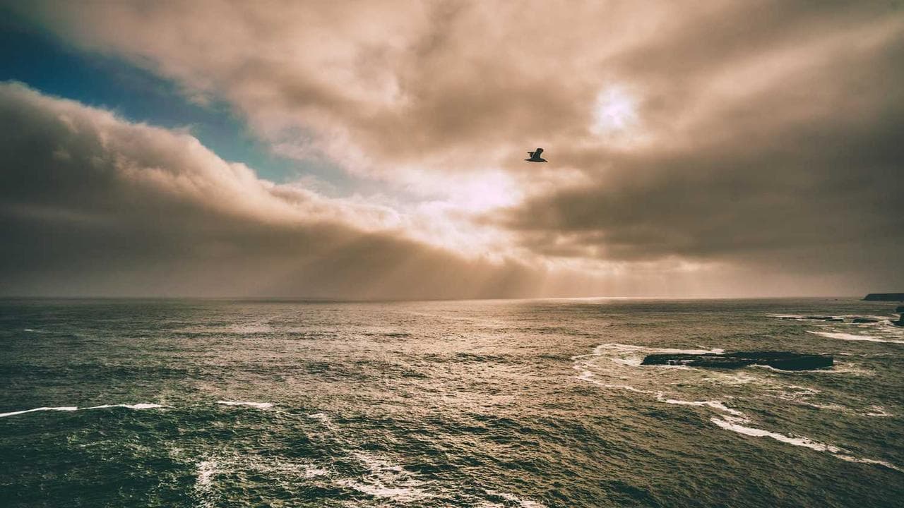 Backdrop for I Could Read the Sky