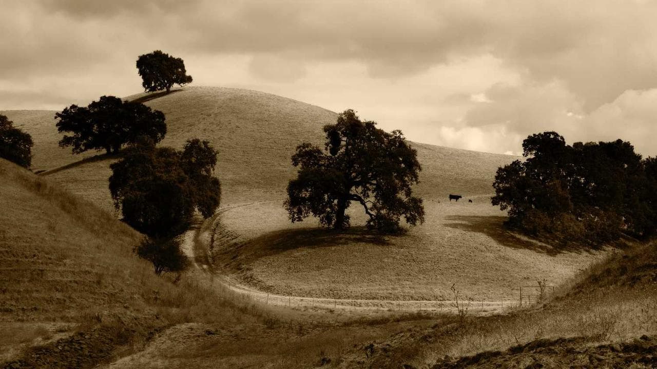Backdrop for Working with Orson Welles