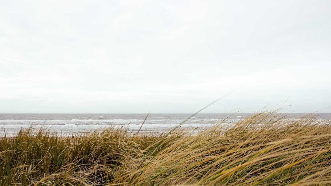 Backdrop for Fede tider
