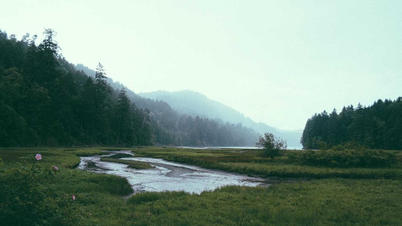 Backdrop for いきなりマリッジ