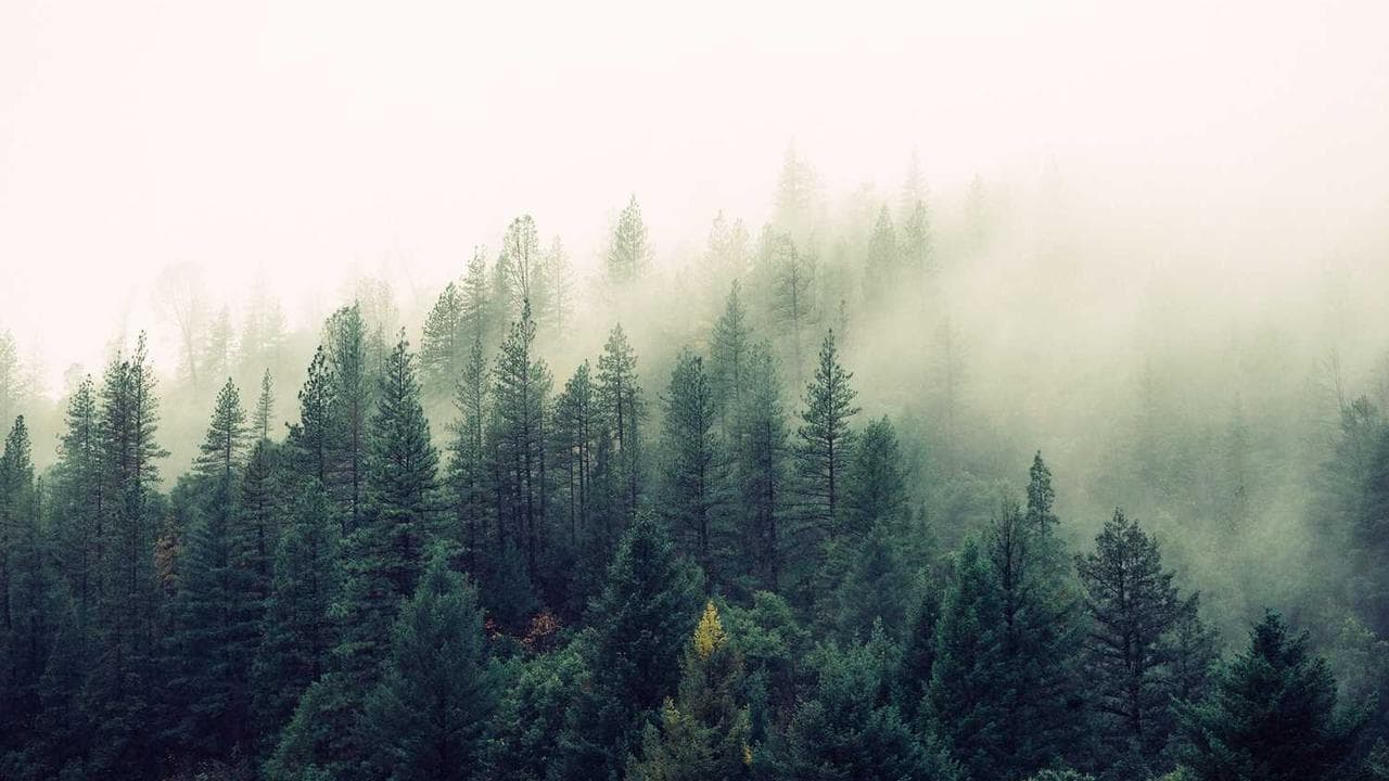 Backdrop for إليكم مع التحية