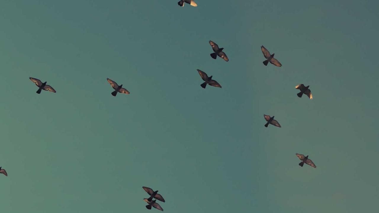 Backdrop for Уйти, чтобы остаться